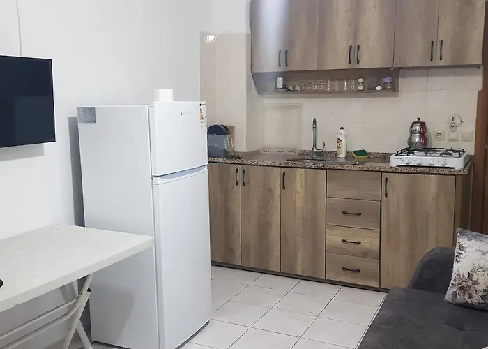 公寓式酒店 Fethiye Apart Otel